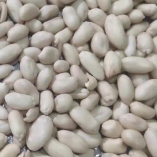 blanched  peanut 25-29
