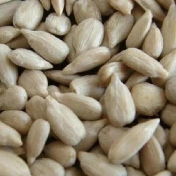 Chinese Bread Level Raw Sunflower seeds Kernel