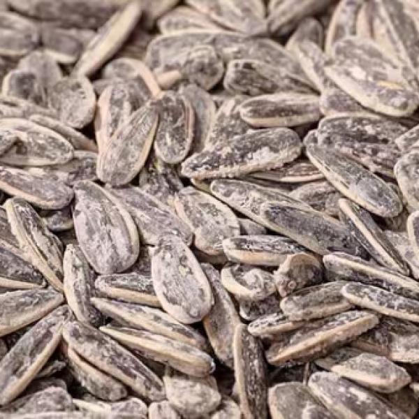 roasted and salted sunflower seeds 363