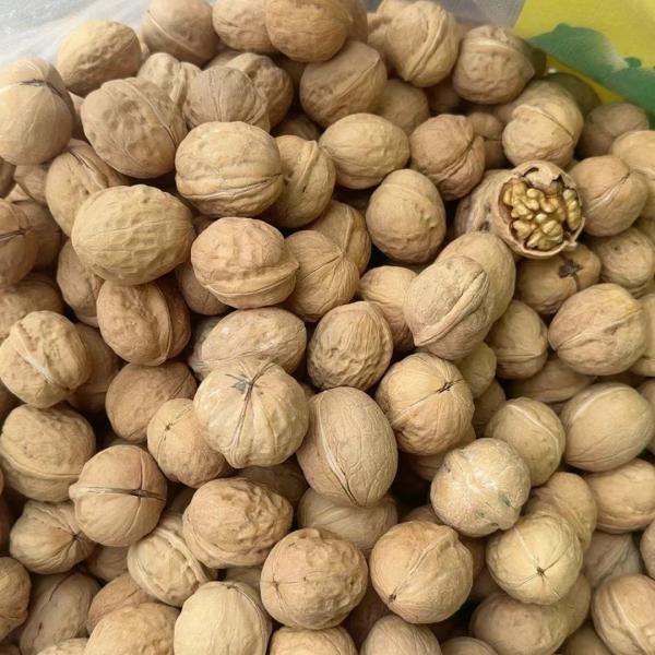 Chinese walnut xingfu new crop 2024 high quality